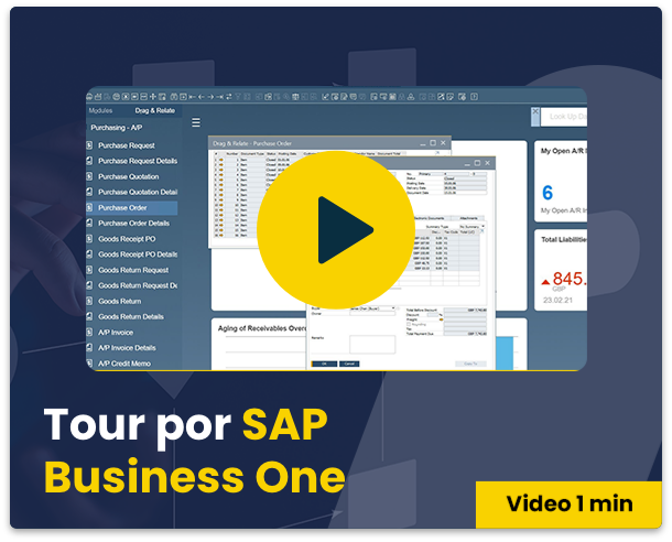 que-es-sap-business-one-thumbnail-1